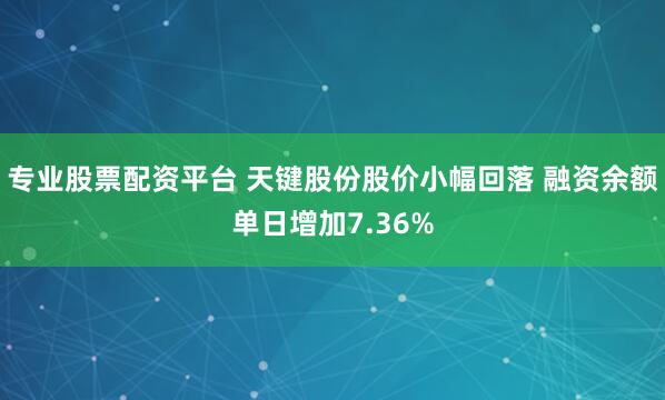 专业股票配资平台 天键股份股价小幅回落 融资余额单日增加7.36%