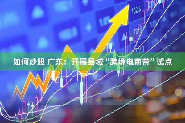 如何炒股 广东：开展县域“跨境电商带”试点