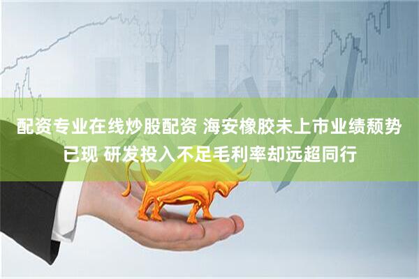 配资专业在线炒股配资 海安橡胶未上市业绩颓势已现 研发投入不足毛利率却远超同行